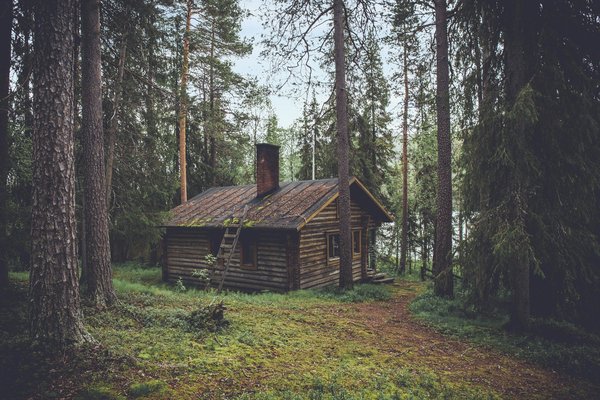 Est-il possible de trouver une cabane isolée en forêt pour une déconnexion totale ?